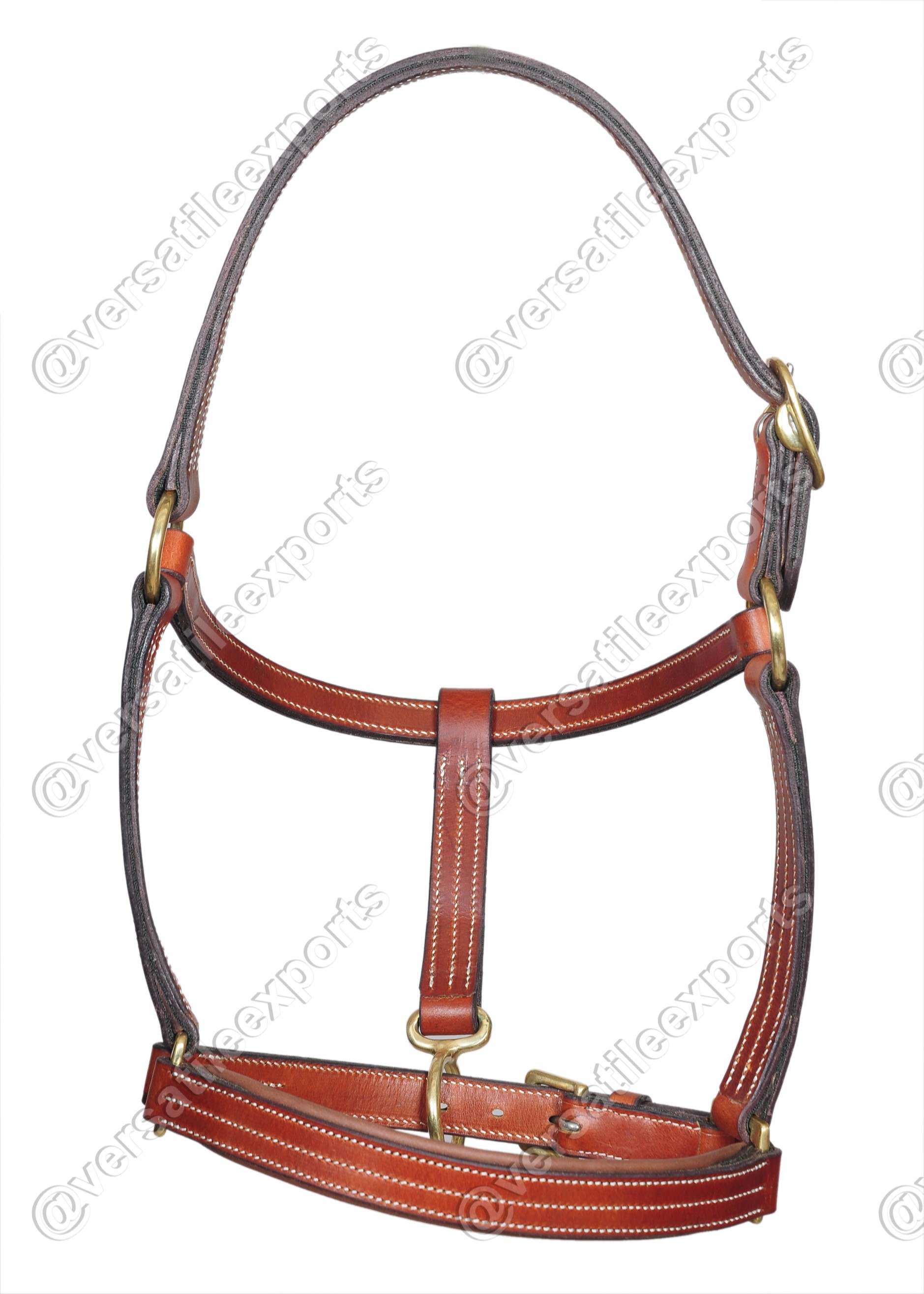 Halter Draft